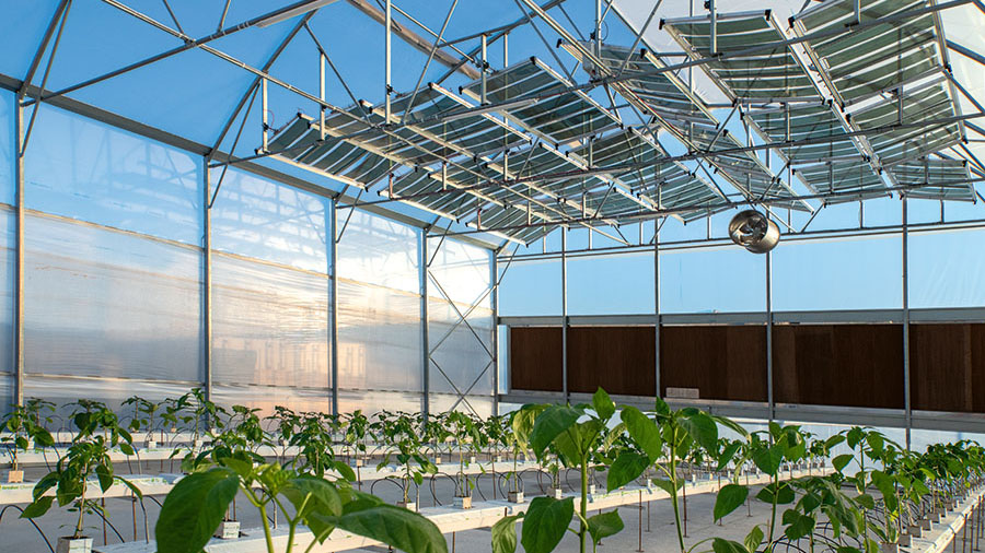 OET's Semi-Transparent PVs for "Triple Land Use"